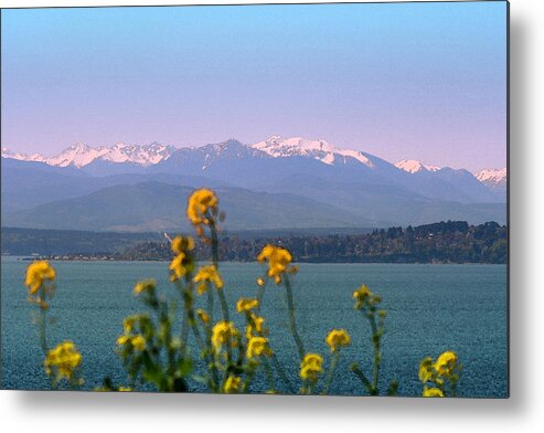 Olympics Metal Print featuring the photograph Olympic Mtn. M1001 by Mary Gaines