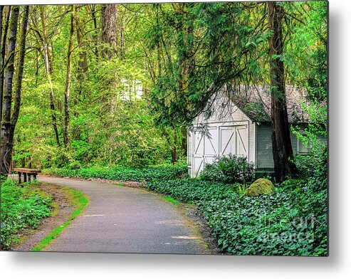 Trails Metal Print featuring the photograph On My Walk by Toni Somes