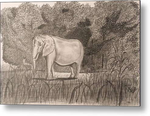 Elephant Metal Print featuring the drawing On Safari by Tony Clark