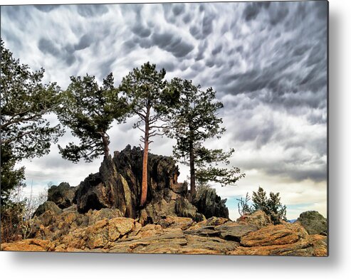 Nature Metal Print featuring the photograph On The Rocks by Ann Powell