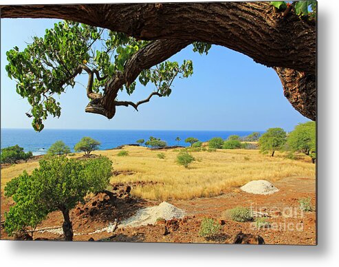 Lapakahi State Historical Park Metal Print featuring the photograph On the Way to Lapakahi by Jennifer Robin