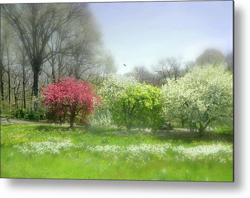 New York Botanical Gardens Metal Print featuring the photograph One Love by Diana Angstadt