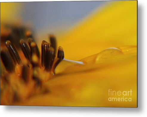 Sunflower Metal Print featuring the photograph One More Sip by Lori Mellen-Pagliaro