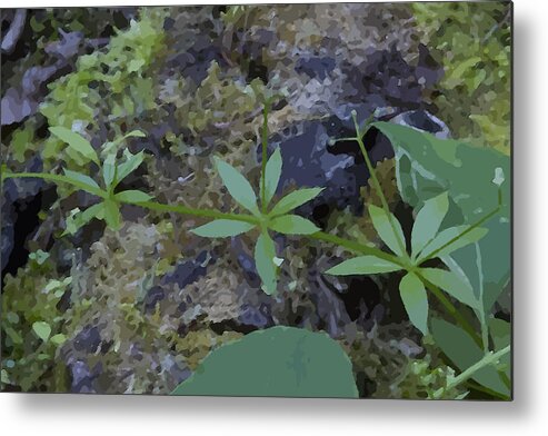 Leaf Metal Print featuring the photograph One, Two, Three by Sandra Foster