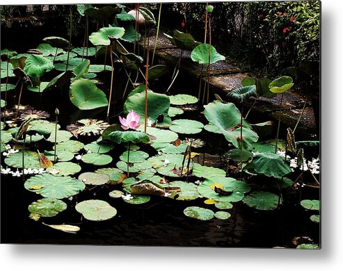 Lotus Metal Print featuring the photograph One by HweeYen Ong