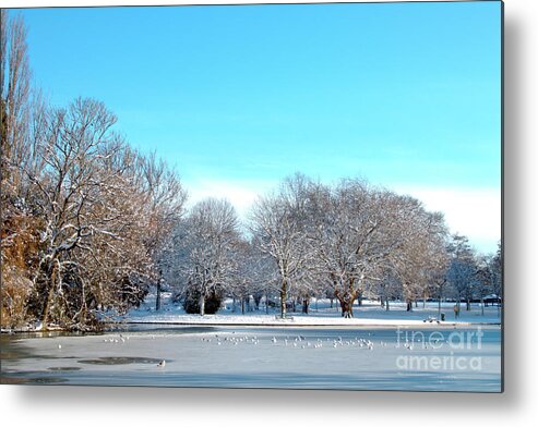 Landscape Metal Print featuring the photograph On Thin Ice by Baggieoldboy