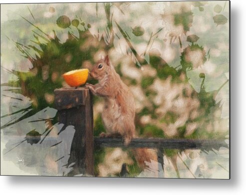 Squirrel Metal Print featuring the photograph Orange Squirrel Splash by Diane Lindon Coy