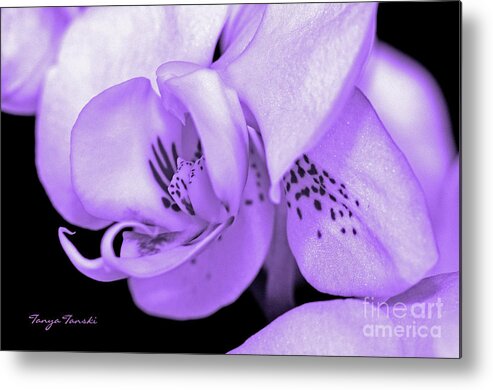 Floral Metal Print featuring the photograph Orchid...Orchid.... by Tanya Tanski