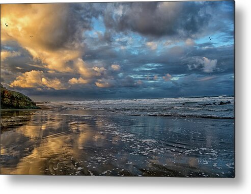 Landscape Metal Print featuring the photograph Oregon Coast Reflections by Bill Posner