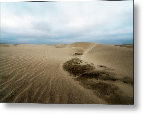 Beach Metal Print featuring the photograph Oregon Dune Wasteland 1 by Ryan Manuel