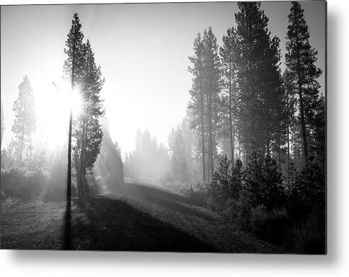 Oregon Metal Print featuring the photograph Oregon Woods by Aileen Savage