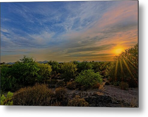 Arizona Metal Print featuring the photograph Oro Valley Sunset h21 by Mark Myhaver