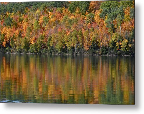  Metal Print featuring the photograph Ottawa National Forest by Dan Hefle