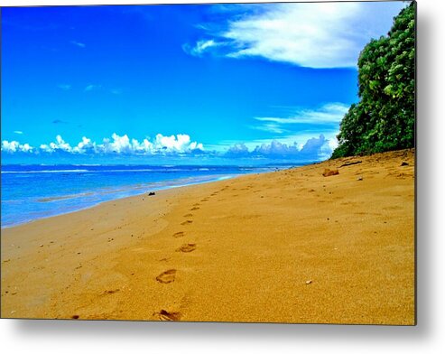 Maui Metal Print featuring the photograph Our Little Secret by DJ Florek