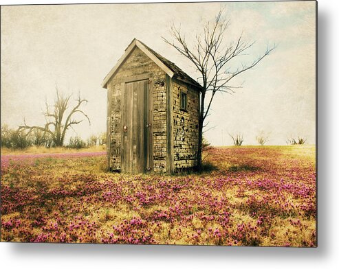 Outhouse Metal Print featuring the photograph Outhouse by Julie Hamilton