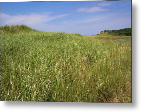 Landscape Metal Print featuring the photograph Outer Cape Dreaming by Michael Friedman