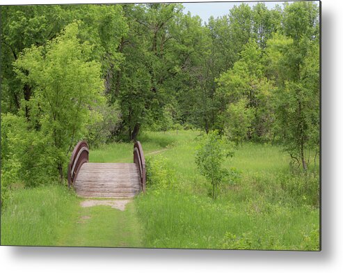 Bridge Metal Print featuring the photograph Over the River by Penny Meyers