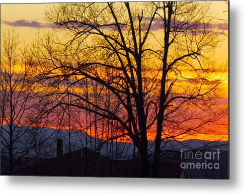 Sunset Metal Print featuring the photograph Paint Night Sunset by Alice Mainville
