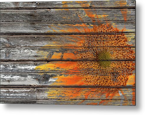 Sunflower Metal Print featuring the photograph Painted Sunflower by Phyllis Denton