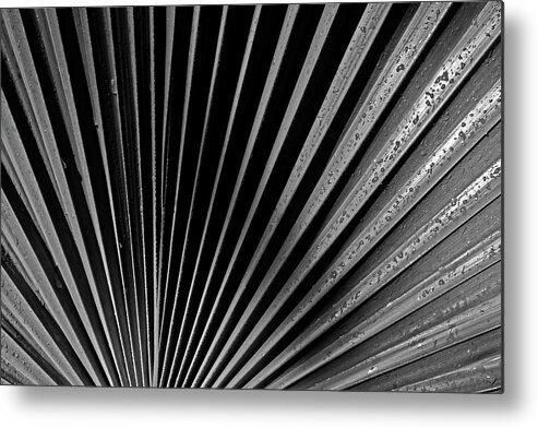 Lines Metal Print featuring the photograph Palm Abstract by Bob Decker