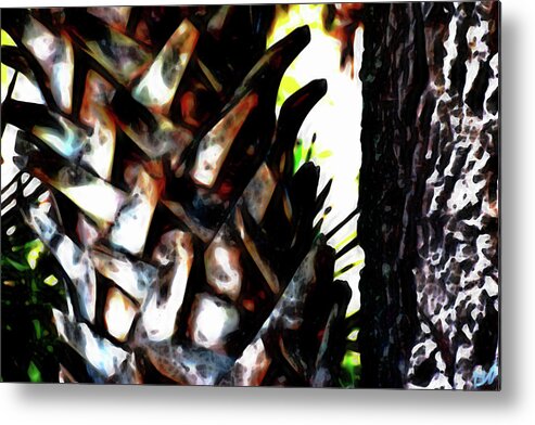 Palm Tree Trunk Metal Print featuring the photograph Palm and Oak Trunks by Gina O'Brien