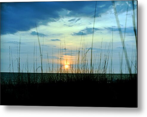 Sunset Metal Print featuring the photograph Palm Island by Anthony Baatz