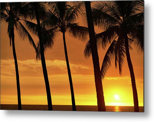 Sunset Metal Print featuring the photograph Palm Tree Sunset by Christopher Johnson