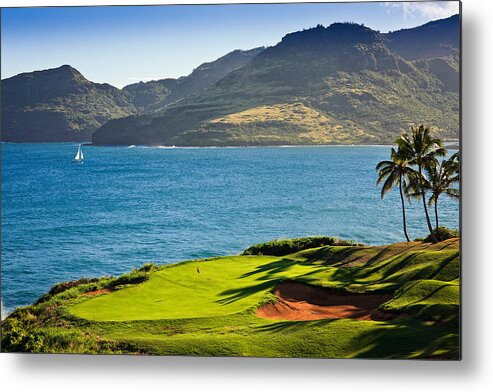 Photography Metal Print featuring the photograph Palm Trees In A Golf Course, Kauai by Panoramic Images