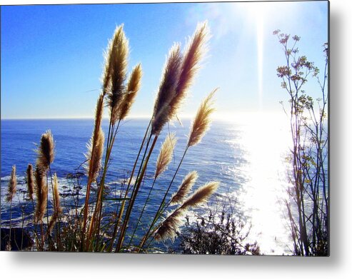 Nature Metal Print featuring the photograph Pampas Grass and The Pacific 2 by Jodie Marie Anne Richardson Traugott     aka jm-ART