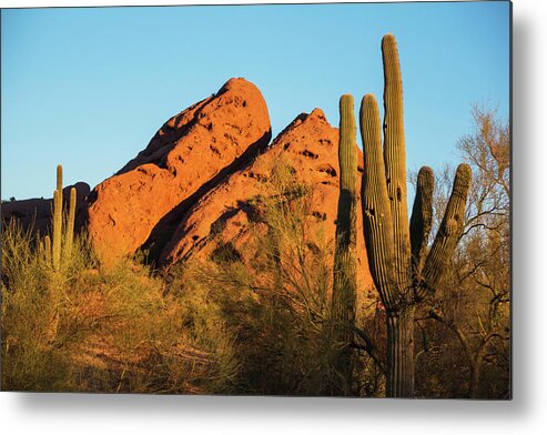 Papago Metal Print featuring the photograph Papago Park Mountain at Sunrise Phoenix AZ Cactus by Toby McGuire