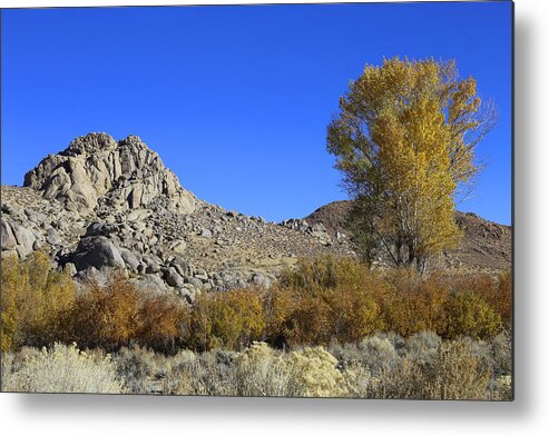 Rocks Metal Print featuring the photograph Paradise by Tammy Pool
