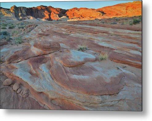 Valley Of Fire State Park Metal Print featuring the photograph Pastel Sandstone of Wash 2 in Valley of Fire at Sunrise by Ray Mathis