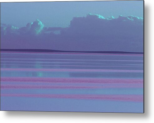 Sunset Metal Print featuring the photograph Pastel Sunset Sea Lilac by Tony Brown