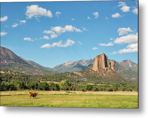 Pasture Metal Print featuring the photograph Pastoral View by Denise Bush