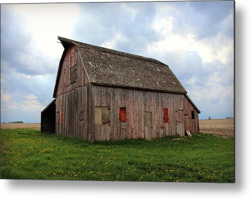 Patched And Still Standing Metal Print featuring the photograph Patched And Still Standing by Kathy M Krause