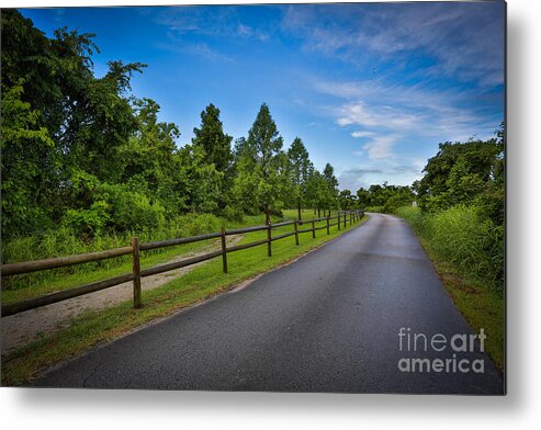 Landscape Metal Print featuring the photograph Path - Color by Mina Isaac