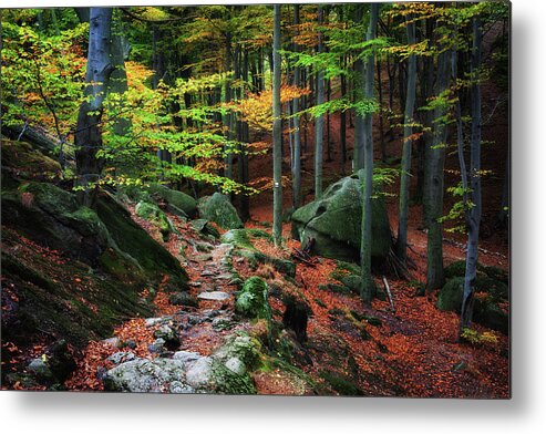 Forest Metal Print featuring the photograph Path in Autumn Forest Picturesque Scenery by Artur Bogacki