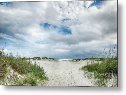 Scenic Metal Print featuring the photograph Pawleys Island by Kathy Baccari