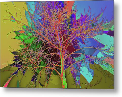 Kenneth James Metal Print featuring the photograph P C C Elm in the wait of bloom by Kenneth James