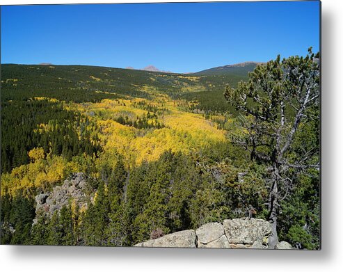 Autumn In Colorado Metal Print featuring the photograph Peak to Peak in Fall by Dennis Boyd