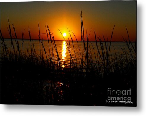 Sunset Metal Print featuring the photograph Peering through the Sea Oats by Barbara Bowen