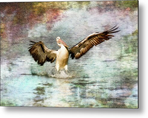 Pelicans Metal Print featuring the photograph Pelican art 00174 by Kevin Chippindall