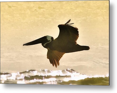 Birds Metal Print featuring the photograph Pelican Patrol by Jim Proctor