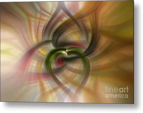 Abstract Metal Print featuring the photograph Petal Power by Debra Fedchin
