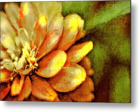 Flower Metal Print featuring the photograph Petals by Reynaldo Williams