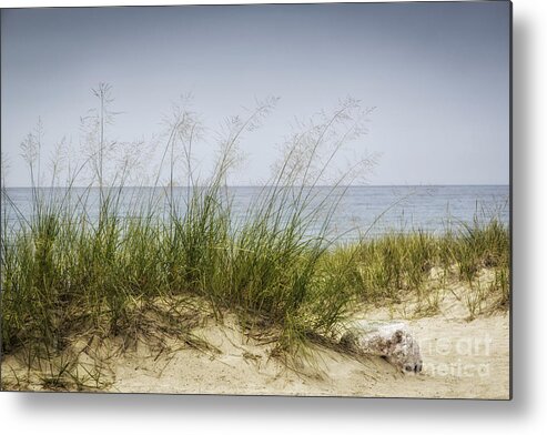  Michigan Metal Print featuring the photograph Petoskey Park Dunes by Timothy Hacker