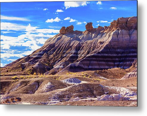 Arizona Metal Print featuring the photograph Petrified Forest V by Raul Rodriguez