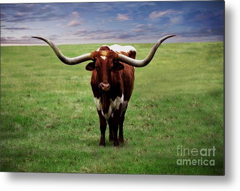 Botanical Metal Print featuring the painting Photo Texas Longhorn A010816 by Mas Art Studio