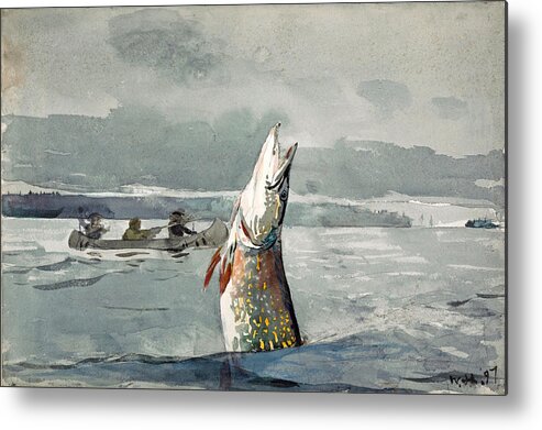 Winslow Homer Metal Print featuring the drawing Pike. Lake St. John by Winslow Homer
