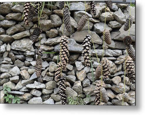 Pine Cone Metal Print featuring the photograph Pine cone and stones by Sumit Mehndiratta